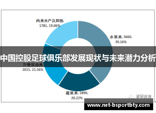 中国控股足球俱乐部发展现状与未来潜力分析