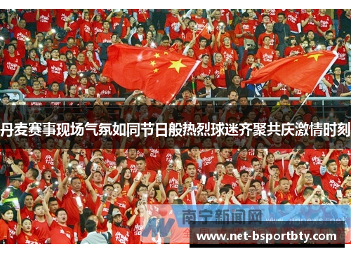 丹麦赛事现场气氛如同节日般热烈球迷齐聚共庆激情时刻