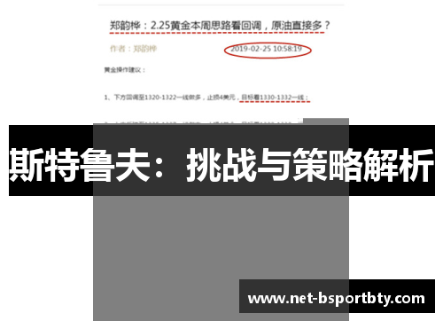 斯特鲁夫：挑战与策略解析