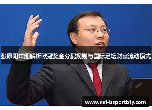 张康阳详细解析欧冠奖金分配规则与国际足坛财富流动模式