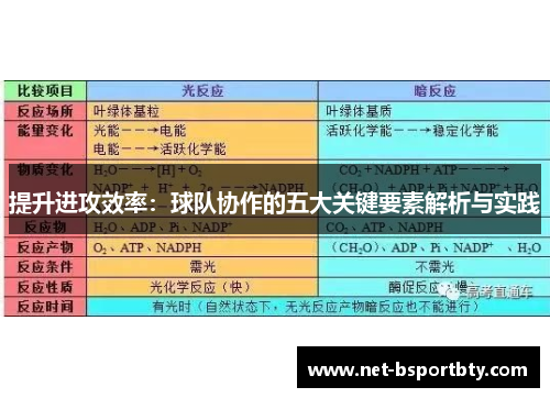 提升进攻效率：球队协作的五大关键要素解析与实践