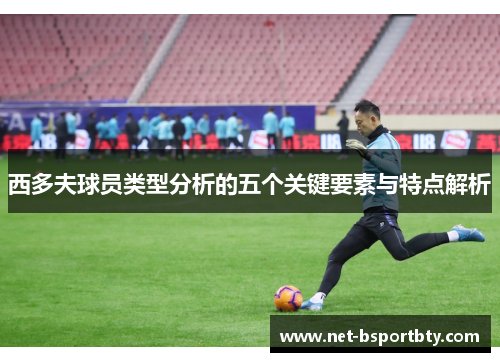 西多夫球员类型分析的五个关键要素与特点解析