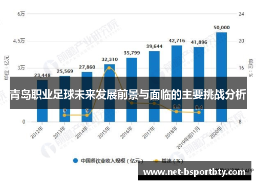 青岛职业足球未来发展前景与面临的主要挑战分析